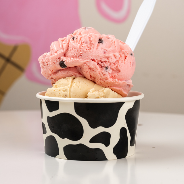 2 Scoops (2 Flavors).